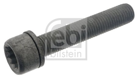 Surub, etrier Febi Bilstein 48817