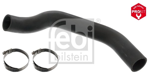 Furtun radiator Febi Bilstein 49161
