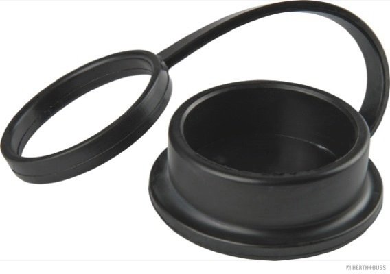 BUSON/CAPAC HERTH+BUSS ELPARTS 50281000 - Piesa auto compatibila cu mai multe marci