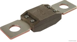 SIGURANTA FUZIBILA HERTH+BUSS ELPARTS 50295845 - Piesa auto compatibila cu mai multe marci