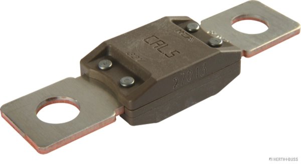 Siguranta fuzibila Herth+Buss Elparts 50295845