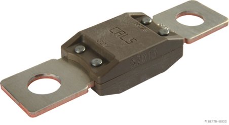 Siguranta fuzibila Herth+Buss Elparts 50295845