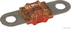 Siguranta fuzibila Herth+Buss Elparts 50295858