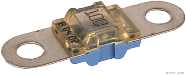 SIGURANTA FUZIBILA HERTH+BUSS ELPARTS 50295863 - Piesa auto compatibila cu mai multe marci