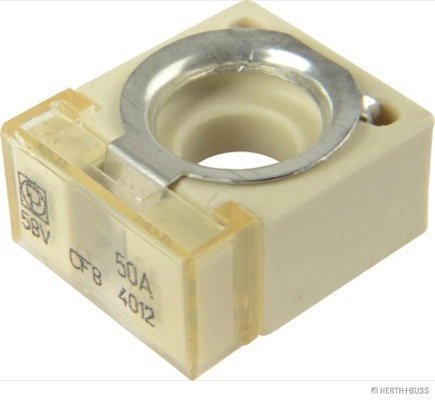 Siguranta fuzibila Herth+Buss Elparts 50295880