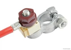 Siguranta fuzibila Herth+Buss Elparts 50295880