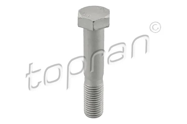 Surub Topran 503 386