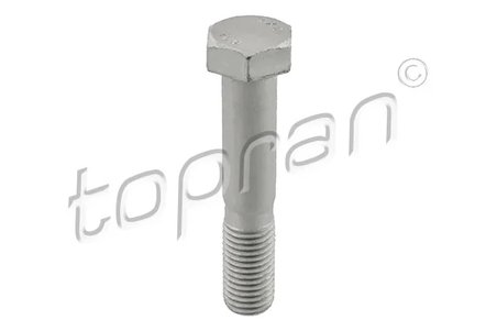 Surub Topran 503 386