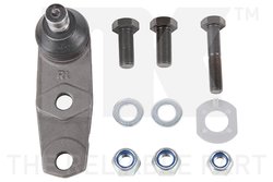 PIVOT NK 5043932 - Compatibil cu RENAULT