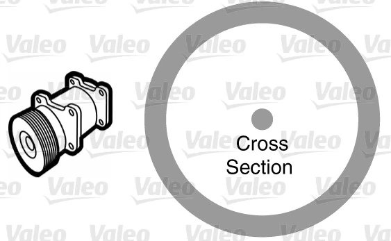 GARNITURA,CONDUCTA LICHID DE RACIRE VALEO 509176 - Piesa auto compatibila cu mai multe marci