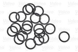 garnitura,conducta lichid de racire Valeo 509305