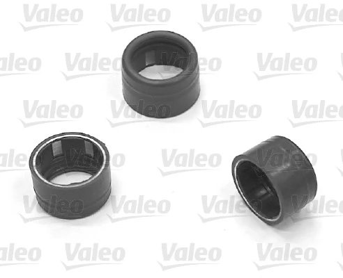 garnitura,conducta lichid de racire Valeo 509552
