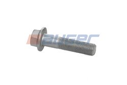 Surub Auger 51521