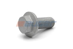 Surub Auger 51522