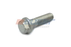 Surub Auger 51525