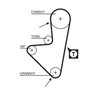 CUREA DISTRIBUTIE GATES 5175XS - Compatibil cu CITROEN, DACIA, MEGA, PEUGEOT