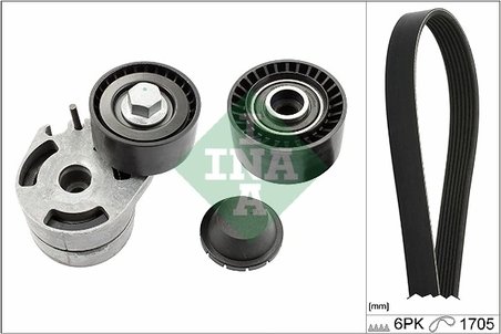 SET CUREA TRANSMISIE CU CANELURI INA 529 0012 10 - Compatibil cu CITROEN, FORD, MAZDA, PEUGEOT