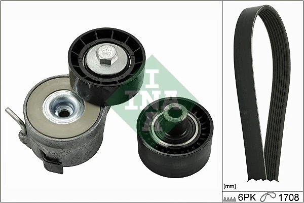 SET CUREA TRANSMISIE CU CANELURI INA 529 0046 10 - Compatibil cu CITROEN, FIAT, PEUGEOT