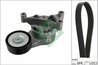 SET CUREA TRANSMISIE CU CANELURI INA 529 0052 10 - Compatibil cu AUDI, SEAT, SKODA, VW, VW (FAW), VW (SVW)