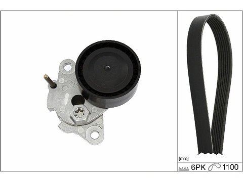 SET CUREA TRANSMISIE CU CANELURI INA 529 0085 10 - Compatibil cu AUDI