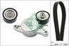 SET CUREA TRANSMISIE CU CANELURI INA 529 0180 10 - Compatibil cu MINI