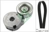 SET CUREA TRANSMISIE CU CANELURI INA 529 0225 10 - Compatibil cu RENAULT