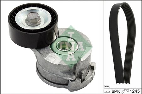 Set curea transmisie cu caneluri INA 529 0291 10