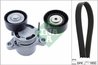 SET CUREA TRANSMISIE CU CANELURI INA 529 0307 10 - Compatibil cu BMW