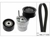 SET CUREA TRANSMISIE CU CANELURI INA 529 0313 10 - Compatibil cu RENAULT, SMART