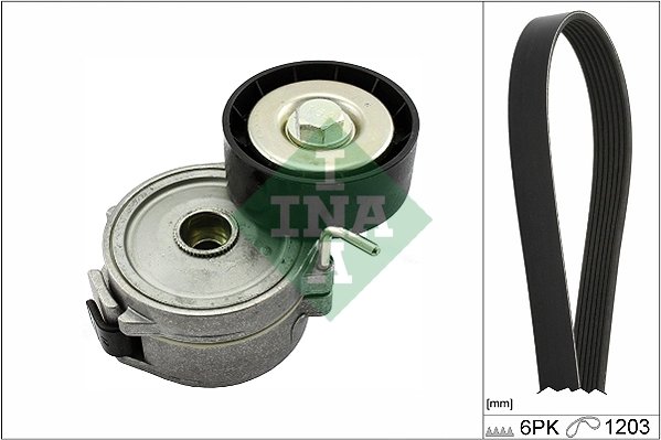 SET CUREA TRANSMISIE CU CANELURI INA 529 0357 10 - Compatibil cu CITROEN, FIAT, LANCIA, LAND ROVER, PEUGEOT