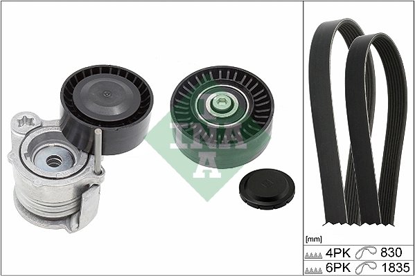 Set curea transmisie cu caneluri INA 529 0359 10