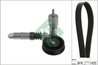 SET CUREA TRANSMISIE CU CANELURI INA 529 0425 10 - Compatibil cu AUDI, SKODA, VW