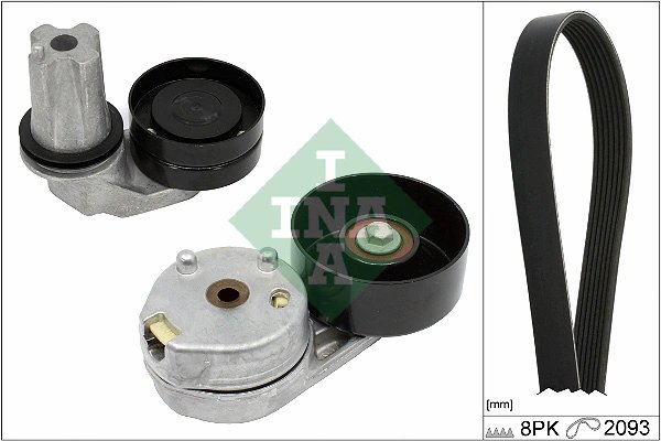 SET CUREA TRANSMISIE CU CANELURI INA 529 0445 10 - Compatibil cu LAND ROVER