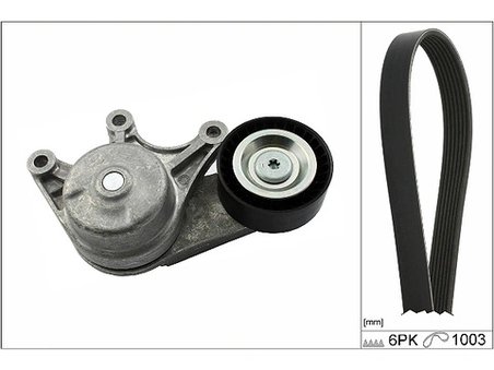 Set curea transmisie cu caneluri INA 529 0483 10