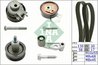 Set distributie curea INA 530 0089 10