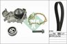 SET DISTRIBUTIE CUREA SI POMPA APA INA 530 0191 31 - Compatibil cu DACIA, NISSAN, RENAULT