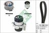 Set distributie curea si pompa apa INA 530 0201 30