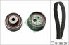 Set distributie curea INA 530 0307 10
