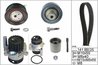 Set distributie curea si pompa apa INA 530 0361 32