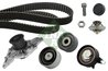Set distributie curea si pompa apa INA 530 0416 31