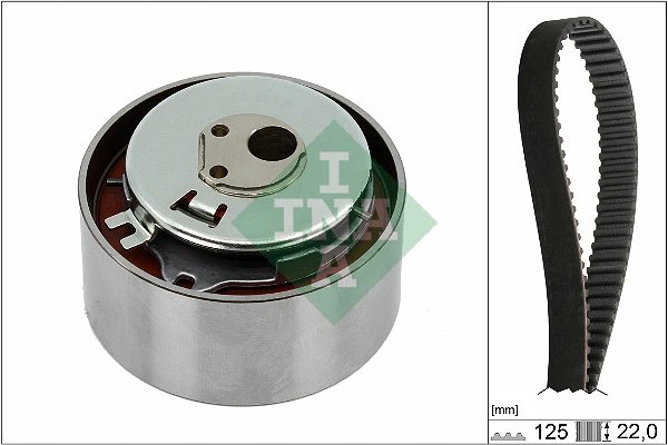 Set distributie curea INA 530 0564 10