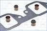 Set garnituri chiulasa Ajusa 53012100