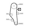 Curea distributie Gates 5302XS