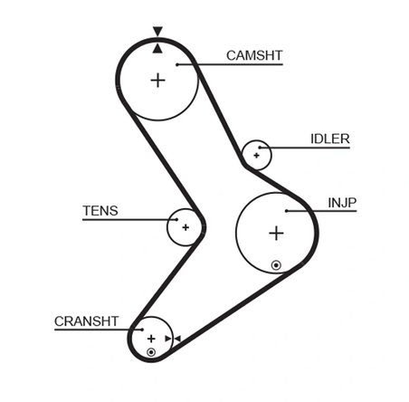 Curea distributie Gates 5334XS