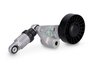Intinzator curea distributie INA 534 0033 10
