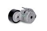 Intinzator curea distributie INA 534 0053 10
