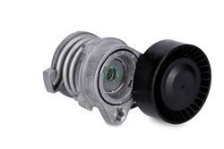 Intinzator curea distributie INA 534 0050 10