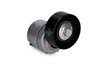 INTINZATOR CUREA DISTRIBUTIE INA 534 0125 30 - Compatibil cu FORD, FORD AUSTRALIA, MAZDA