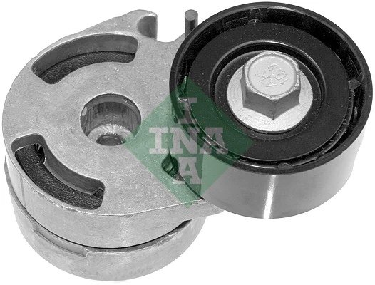 Intinzator curea distributie INA 534 0180 10