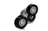 Intinzator curea distributie INA 534 0309 10